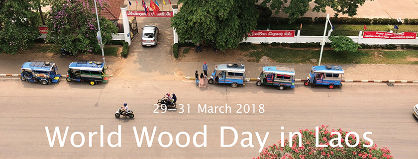2018 World Wood Day in Laos